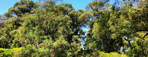 Kings Park and Botanic Garden is one of Australia.