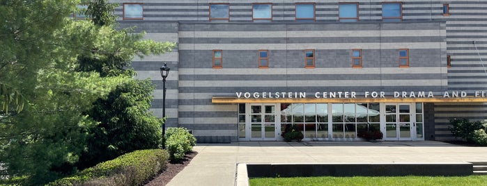 Vogelstein Center for Drama and Film is one of Campus Locations.