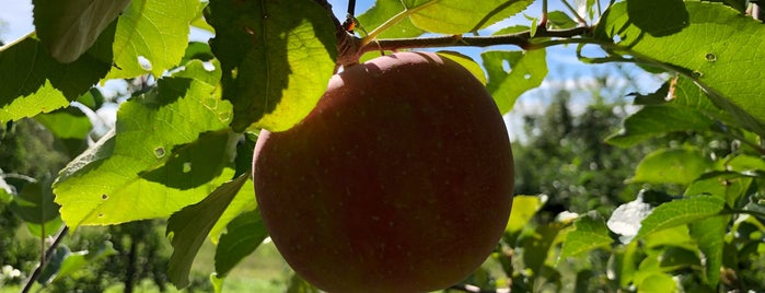 Cold Spring Orchard is one of UMASS.