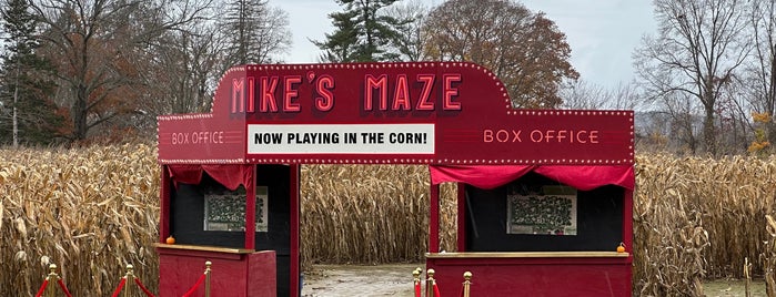Mike's Maze at Warner Farm is one of Holiday Hot Spots.