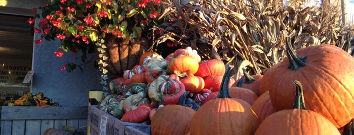 Hoovers Farm Market is one of Lugares favoritos de Michael.