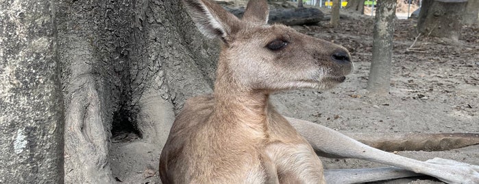 Wildlife Habitat is one of Nicholasさんのお気に入りスポット.