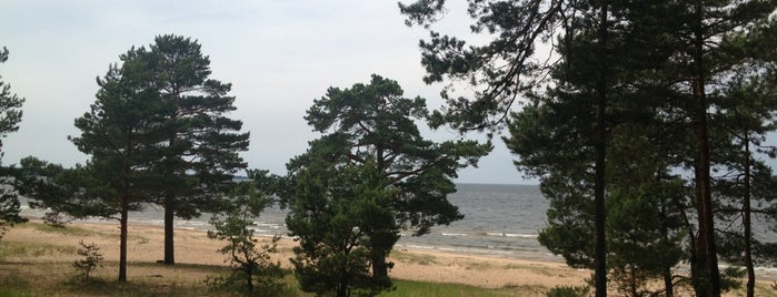 Липовский пляж is one of Orte, die Алексей gefallen.