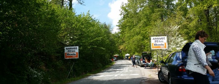 Roche aux Faucons is one of Belgium / Events / Liège - Bastogne - Liège 2019.