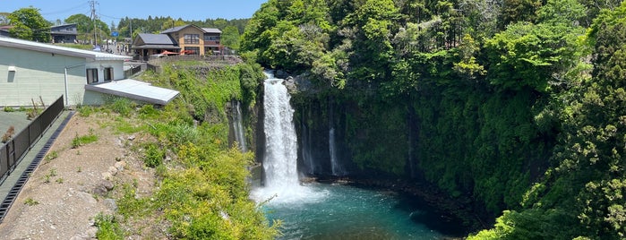 Otodome Falls is one of 静岡.