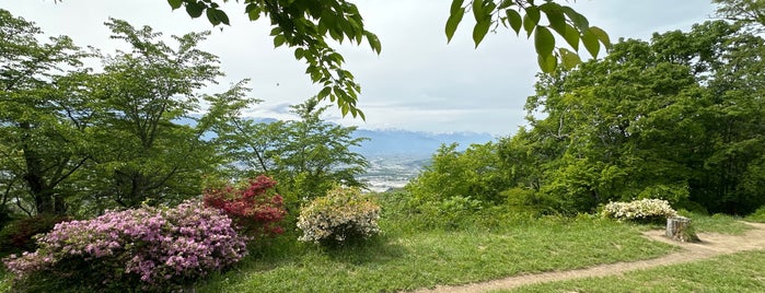 光城山 is one of 山と高原.
