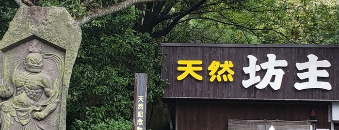 天然坊主地獄 is one of Tempat yang Disukai Minami.