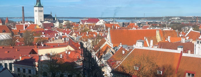 Смотровая площадка Кохтуотса is one of Tallinn.