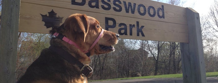 Basswood Park is one of สถานที่ที่ Chris ถูกใจ.
