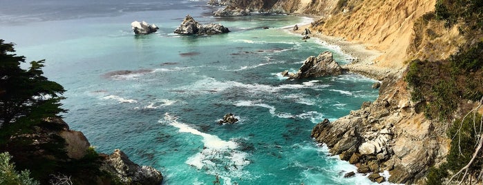 Julia Pfeiffer Burns State Park is one of Highway 1.