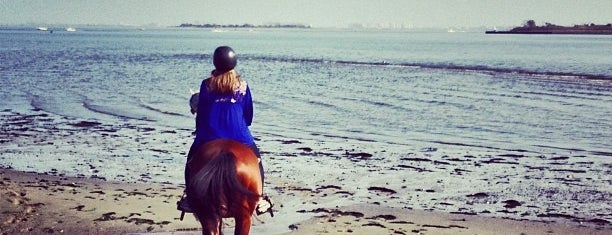 Jamaica Bay Riding Academy is one of Recreation.