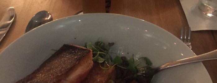 The 15 Best Places For Salmon In Niagara Falls
