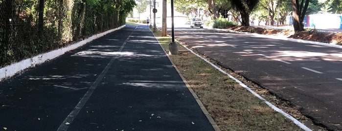 Pista de caminhada Parque do Ingá is one of Lieux qui ont plu à Luiz.