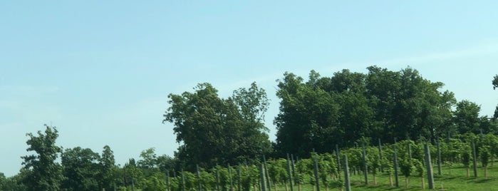 Walker's Bluff is one of Southern Illinois Wineries.
