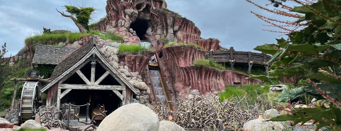 Splash Mountain is one of All-time favorites in United States.