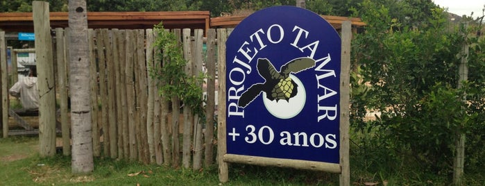 Projeto Tamar is one of Lugares favoritos de Carol.