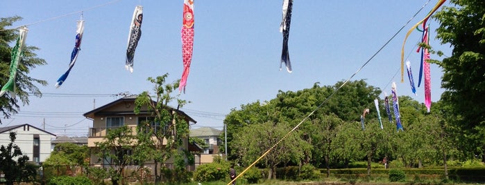 Jidayubori Park is one of 野川.