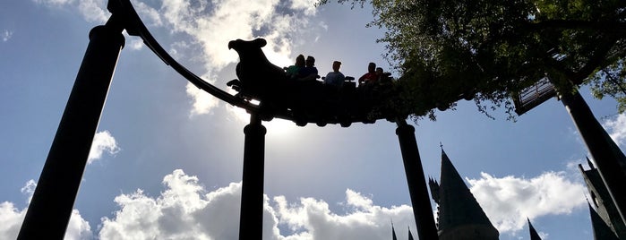 Flight of the Hippogriff is one of Locais curtidos por Lindsaye.
