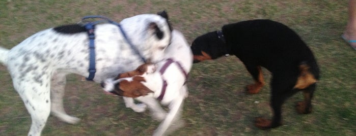 Washington Dog Park is one of PHX Parks in The Valley.