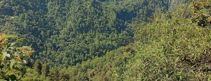 Paseo de la Barranca is one of Zacatlan de las Manzanas.