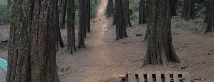 Mirador Alemán is one of Lugares de Chile.