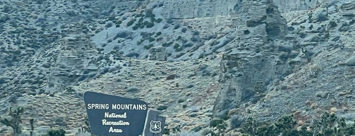 Spring Mountains National Recreation Area is one of Las Vegas Sightseeing.