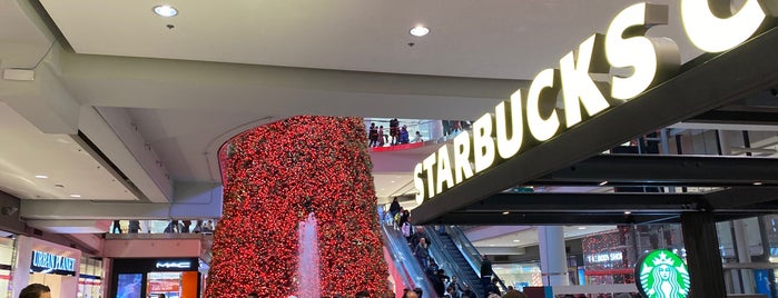 Starbucks is one of Lieux qui ont plu à Marcia.