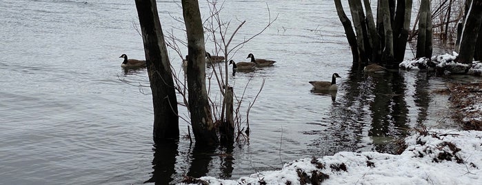 Parc Marie-victorin is one of Lugares favoritos de Stéphan.