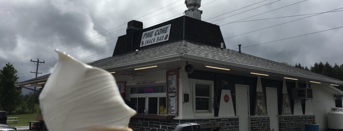 Pine Cone Snack Bar is one of สถานที่ที่ Michael ถูกใจ.