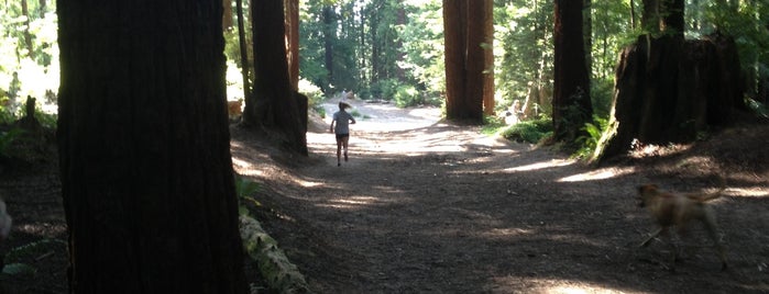 Redwood Curtain Disc Golf is one of Humboldt County.