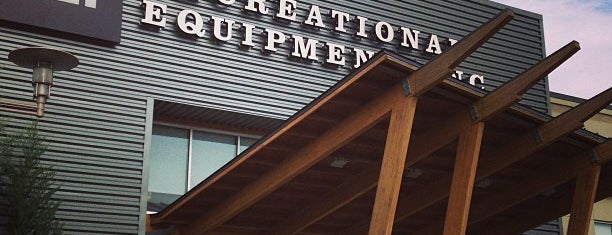 The 15 Best Sporting Goods Shops In Charlotte