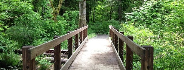 Mount Si Trailhead is one of Hiking 2015.