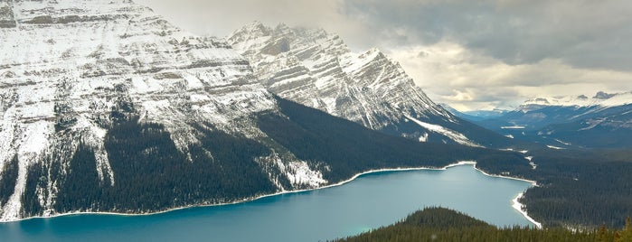 Lake Peyto is one of Oh The Places I'll Go.