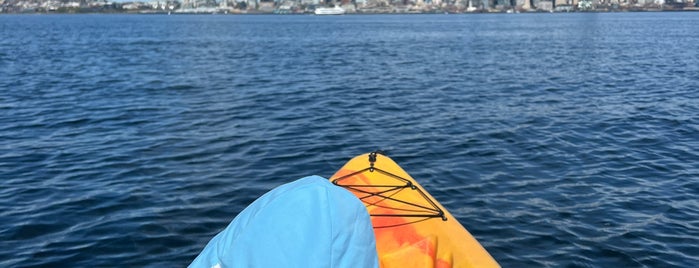Alki Kayak Tours is one of Seattle.
