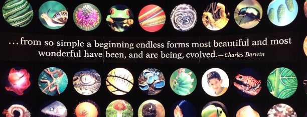 Evolving Planet is one of Locais curtidos por Mike.