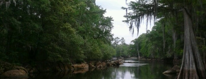 Withlacoochee River is one of Random places.