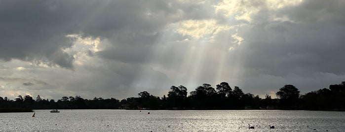 Lake Wendouree is one of Ballarat.