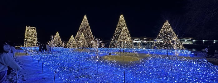 芝生のひろば is one of 軽井沢.