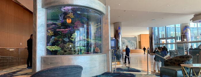 Ocean Resort Casino In The Unbound Collection By Hyatt is one of Restaurants.