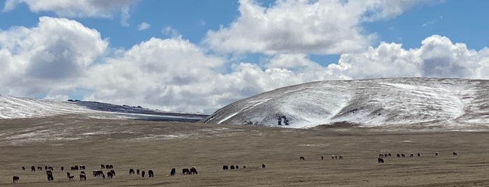 Mongolia is one of 4sq上で未訪問の国や地域.