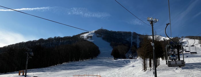 奥中山高原スキー場 is one of >100m Slide.