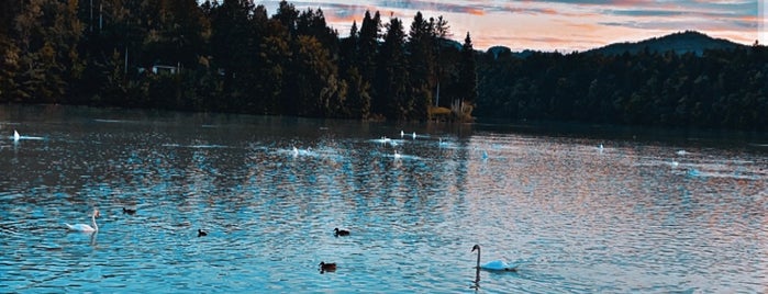 Zbiljsko jezero is one of Otroška igrišča.