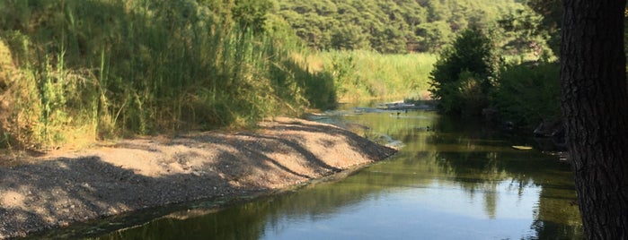 Nehir’de Mola is one of Sögüt.