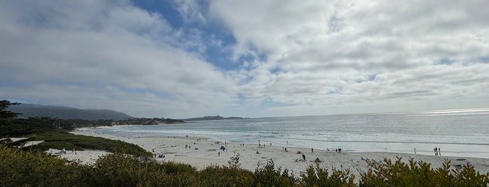 Carmel Beach City Park is one of SC/Monterey CA.