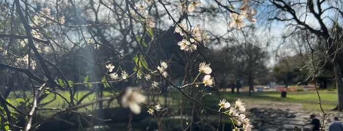 Prairie Creek Park is one of Dallas North Plano/Richardson.