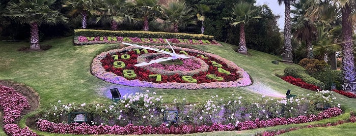 Reloj de Flores is one of Chile.