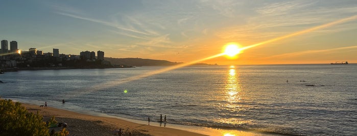 Caleta Abarca is one of Viña del Mar en 100 lugares.