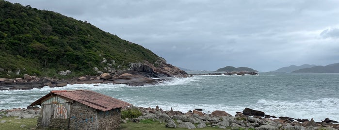 Praia do Maço is one of Santa Catarina.