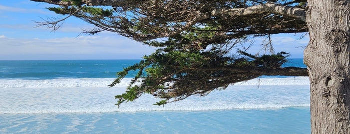 Carmel Beach City Park is one of Nature 2 - more 2 explore!.
