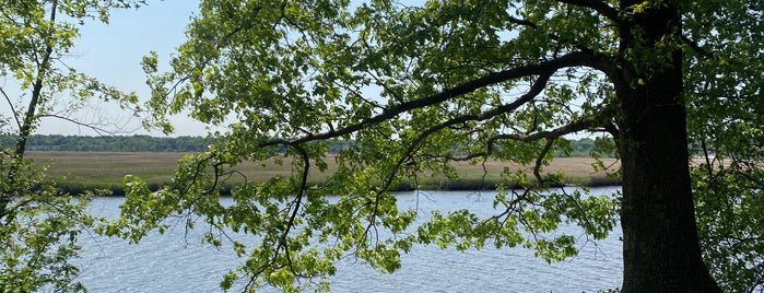 Tidal Marsh Trail is one of Connecticut.